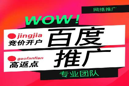 探索SEM优化托管的成功案例与策略